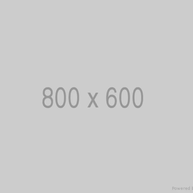 800×600 800x600